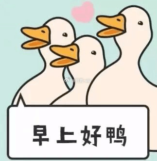 早上好呀～岑先生