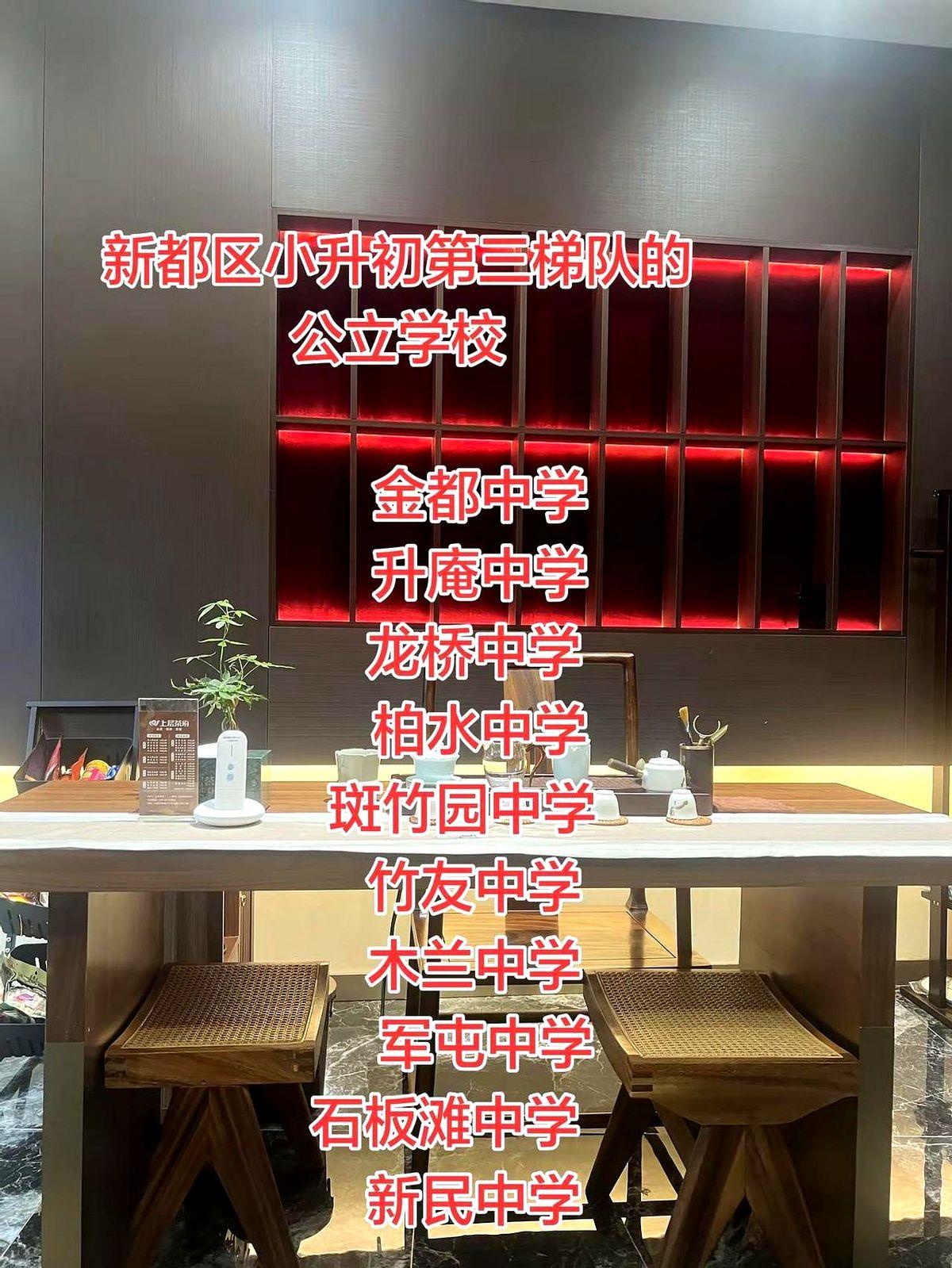 新都区小升初第三梯队的公立学校。
我只是看着这些熟悉的校名，从金都到新民，脑子里