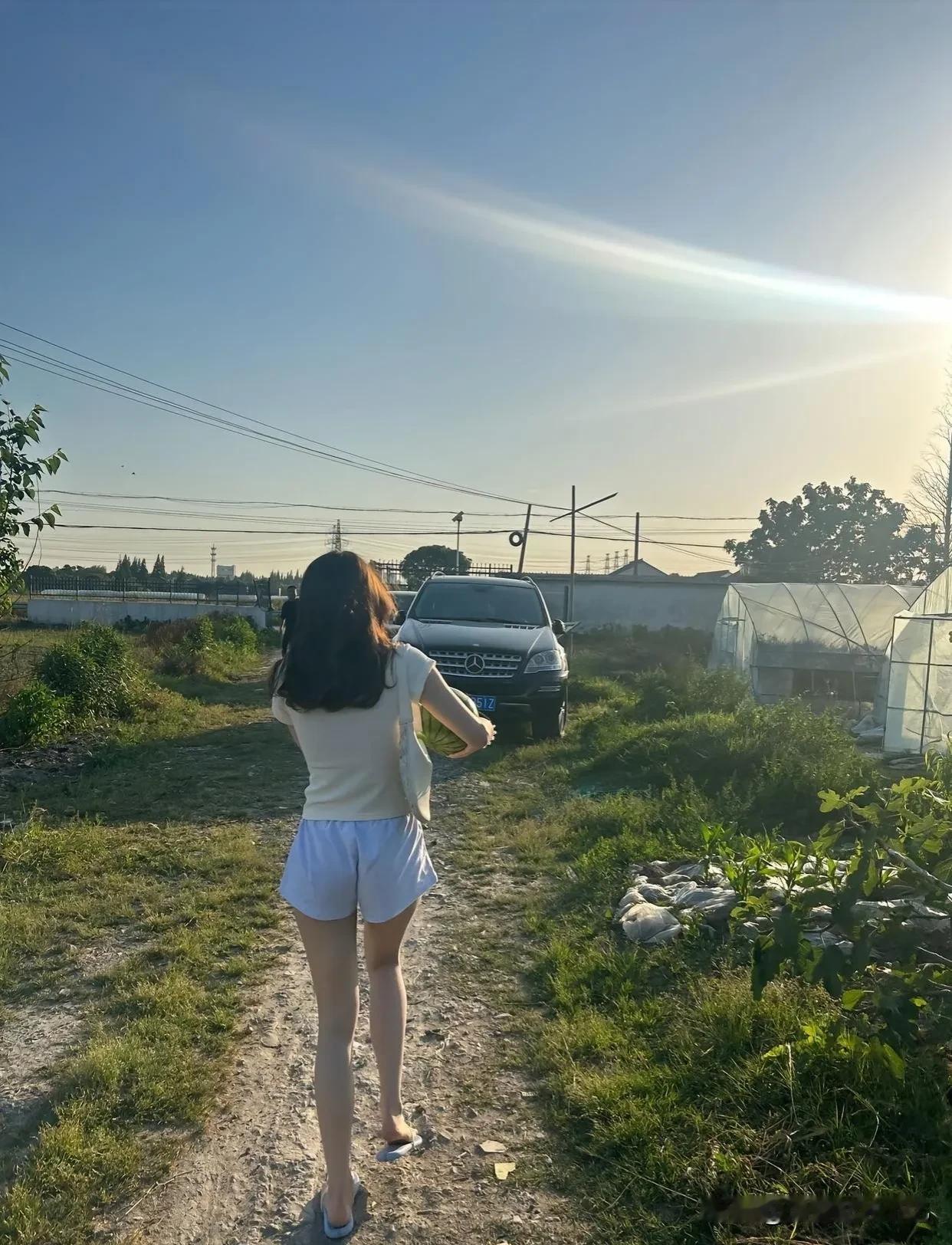 摘个西瓜吃