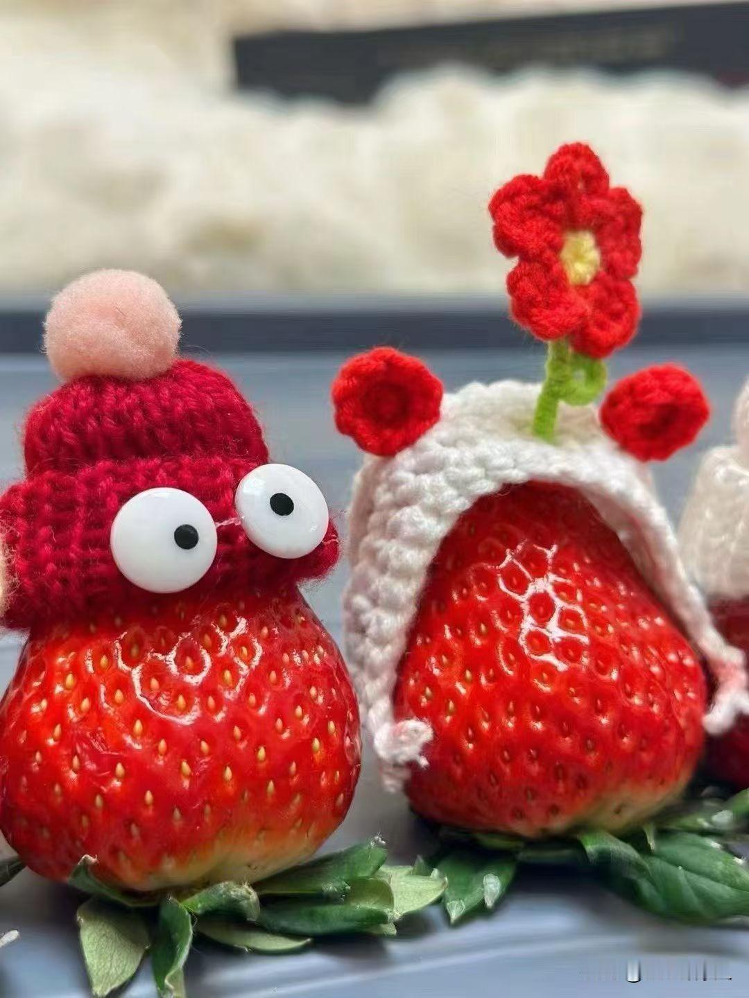 冬日生活打卡季草莓的记忆温馨美丽