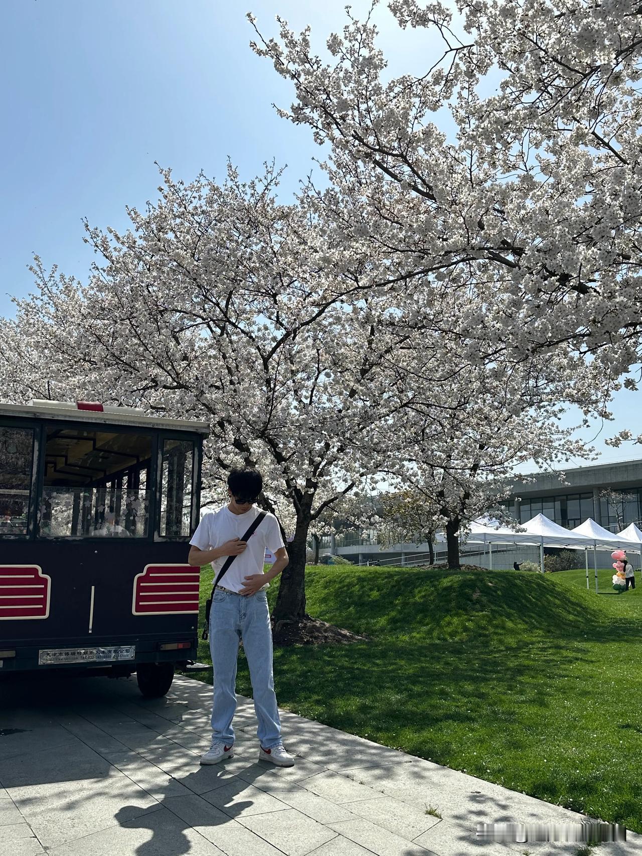 #春日生活打卡季#春天的花、夏天的风、秋天的硕果、冬天的雪，且赏且尝，不宜错过。