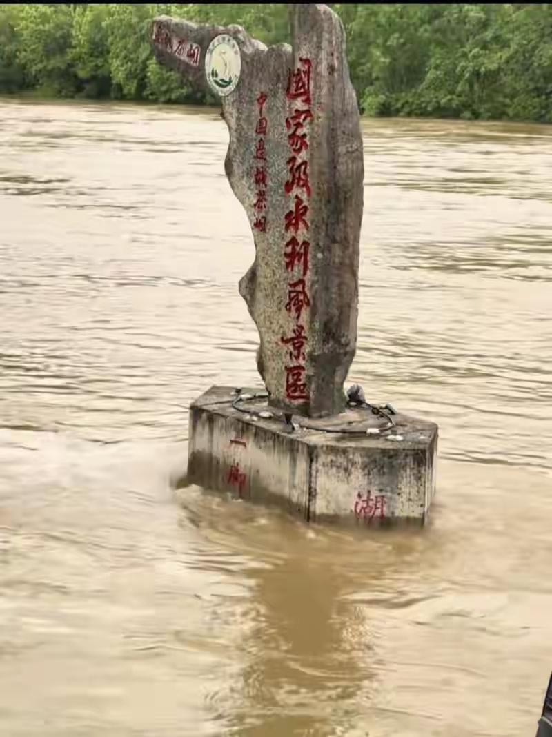 4月20日，受持续强降雨影响，桂林漓江水位暴涨，位于阳朔相公山附近的“桂林山水甲