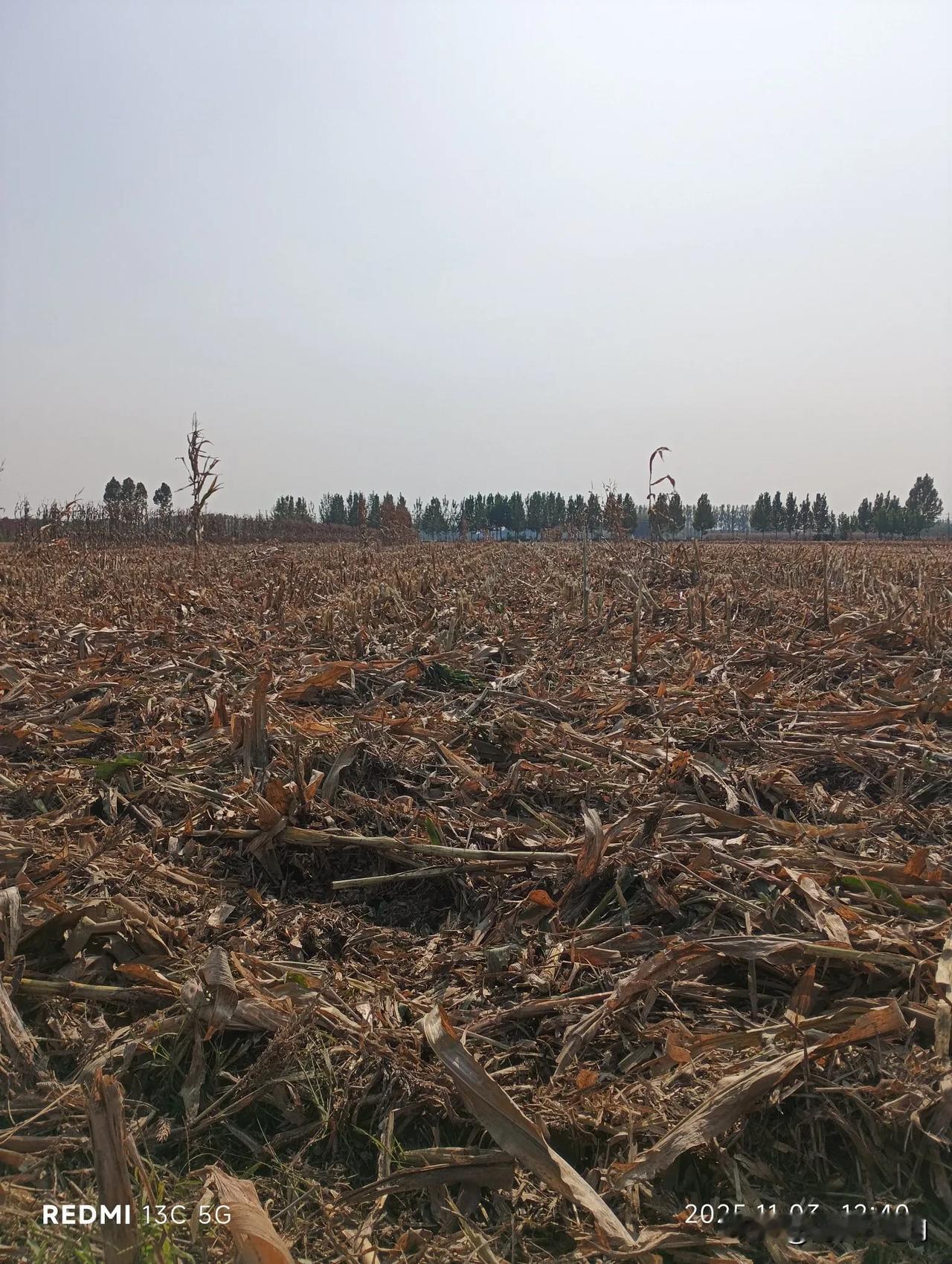 看来立冬前是耩不上麦子了！[苦瓜]
还有3天就立冬（11.7日）了，昨天中午回家