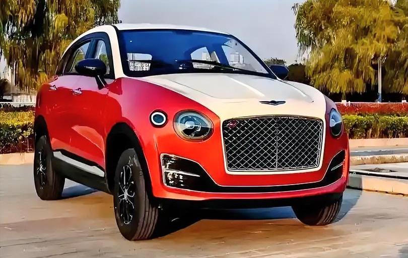 可以这么讲，没有执照意味着缺乏驾驶技术，也不了解交通规则。没有牌照就无法购买保险