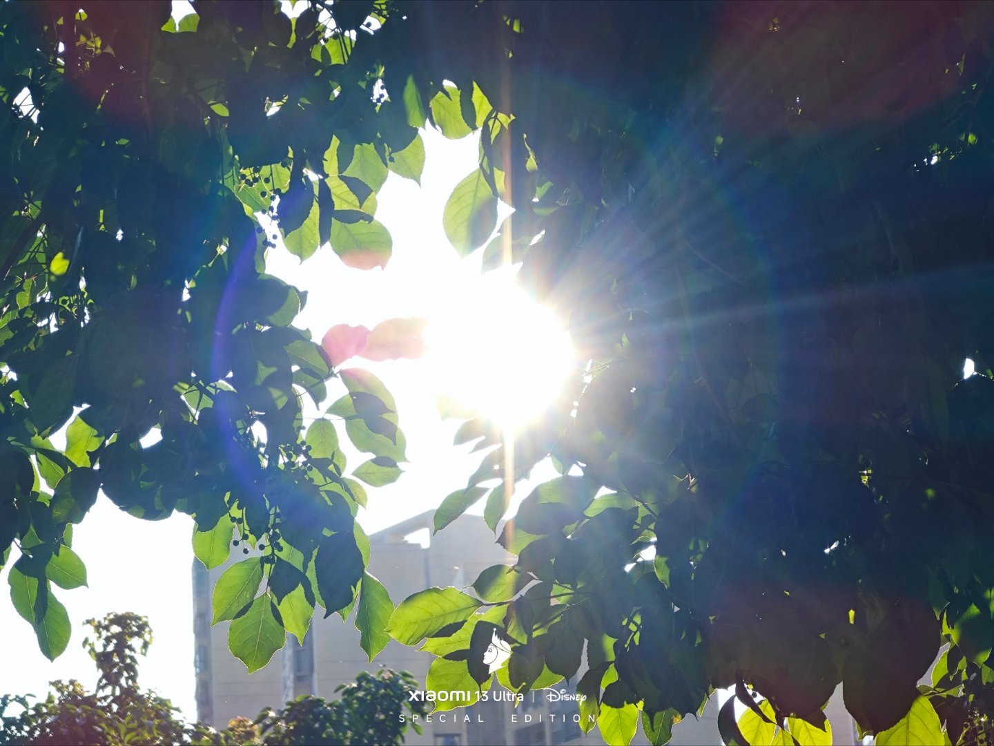 “天晴气爽风和日丽春光明媚鸟语花香百花齐放万紫千红”得有点不像广东的 4 月天。