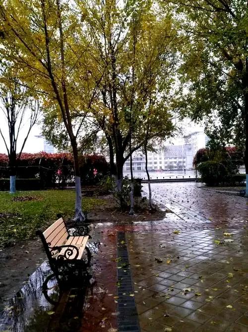 天公无仁，秋雨倾盆。。。
吾心凉凉，雷声哼哼。。。
老天爷，不能再下了。。。。
