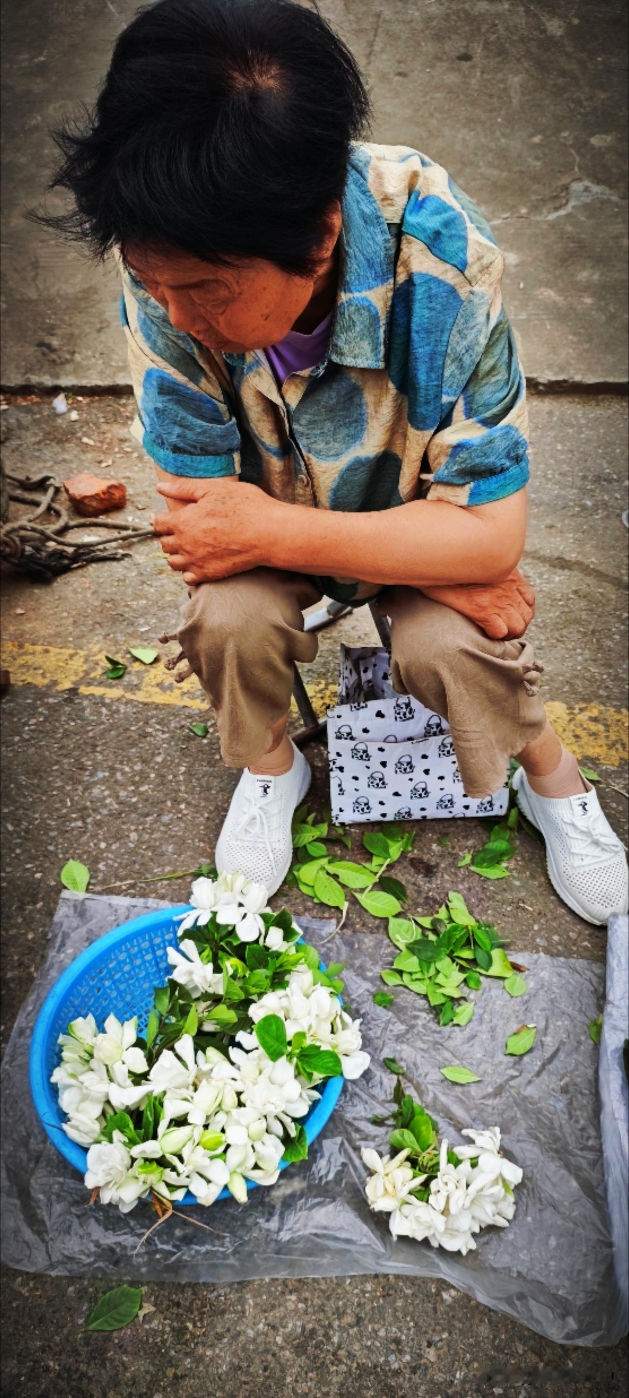 这几日的巷子口都会有摆摊卖栀子花的，缕缕香风，心中某个角落忽然变得柔软。有花相伴