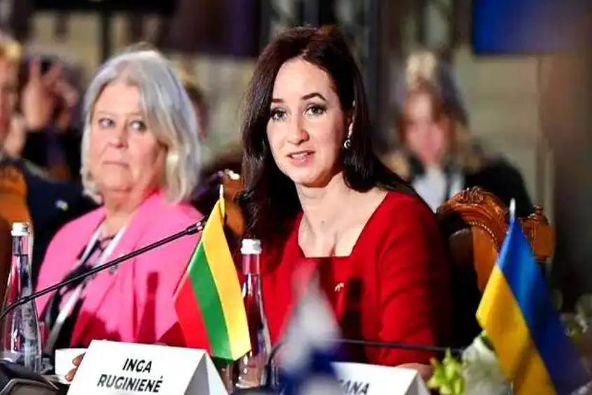 立陶宛总理因加·鲁吉尼埃内最近在采访里直接摊牌，说2021年政府允许以“台湾”名