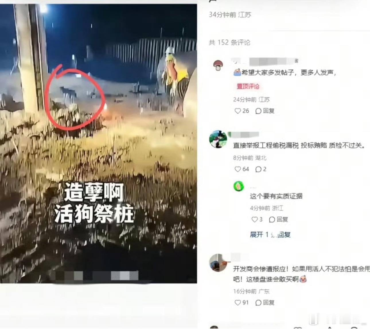 某工地用活犬祭祀啊？？？活狗祭桩？？？活埋碾压？？中铁二十五局，贵港工地，你们火