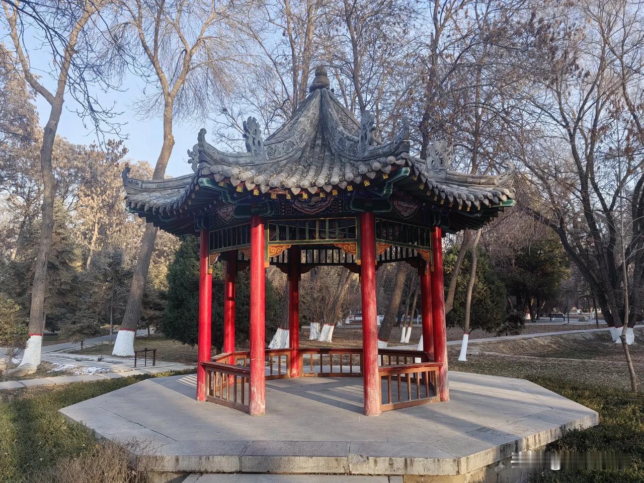 20241226
银川市中山公园冬景  活成被生活无视的样子，但脸皮厚活长久。