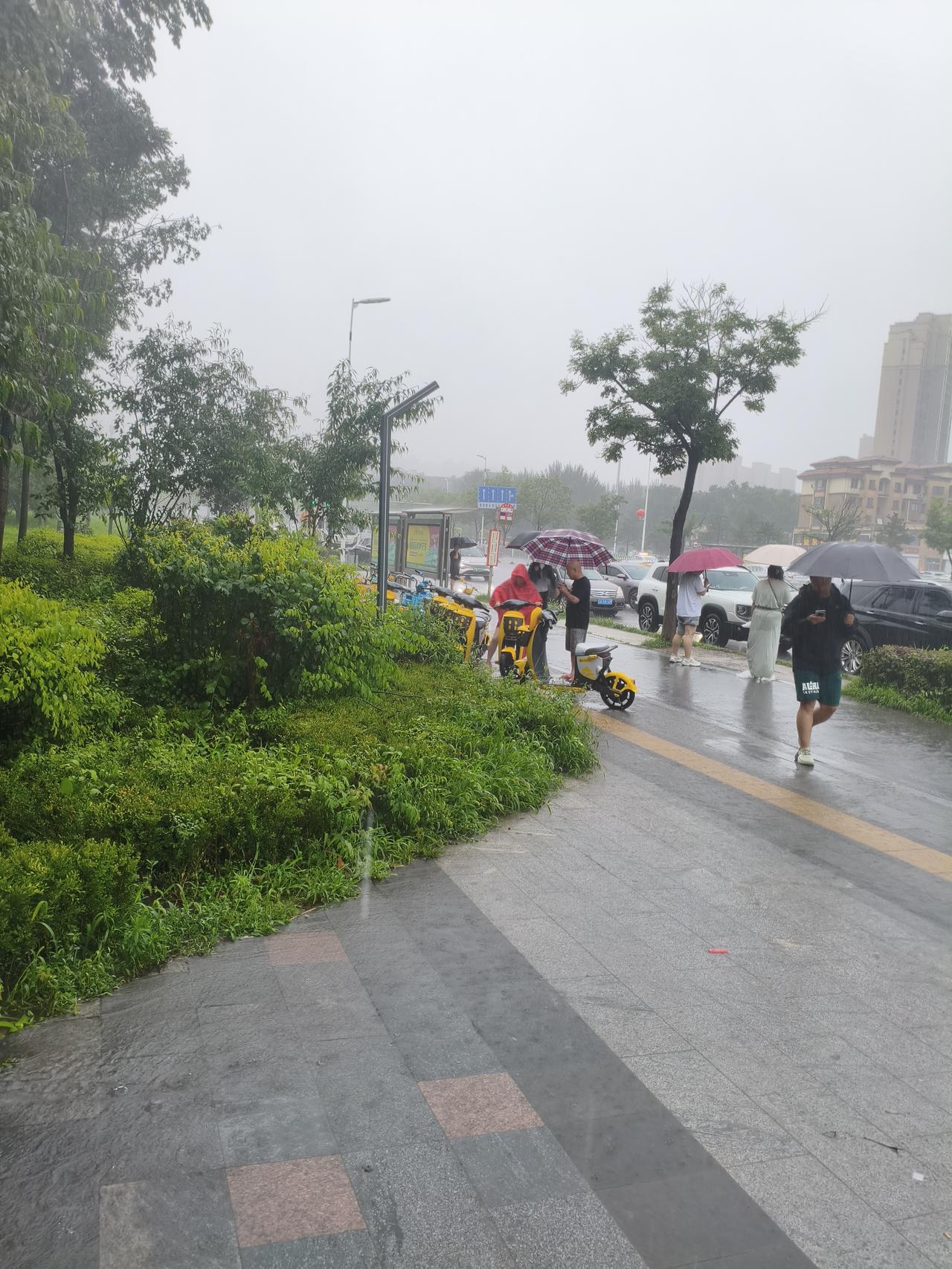 暴雨大风突袭！这座城市最靠谱的出行保障，藏在日常里✨
 
突发恶劣天气，狂风裹挟