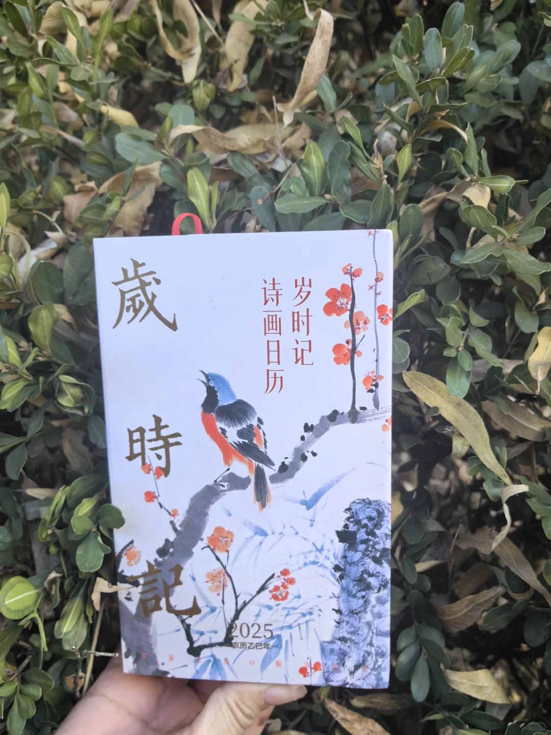 《岁时记》:2025年最美日历提前预定了