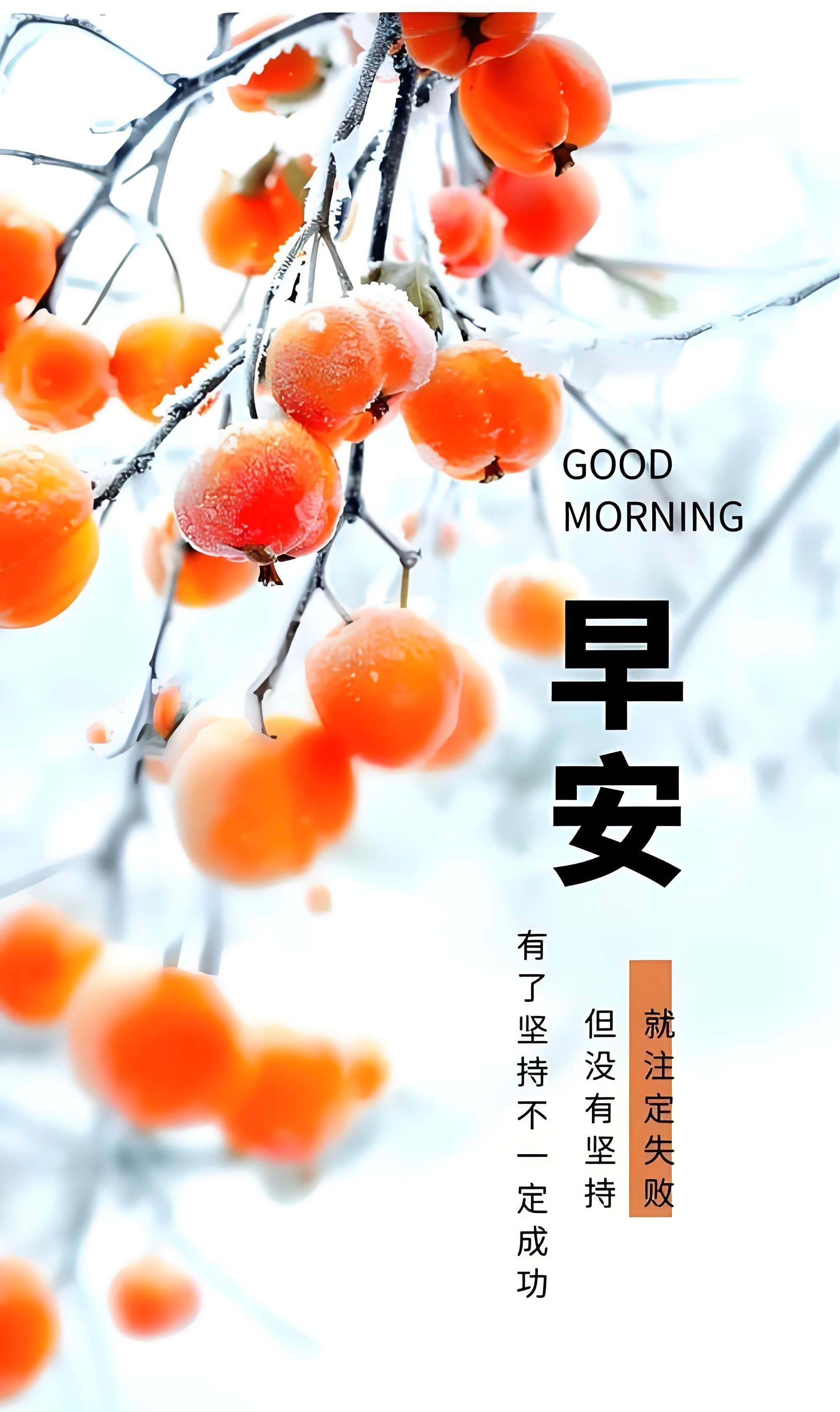 早安  2026-1-29，腊月十一，星期四，晴🌤🌻🌻太感性，走不进柴米油