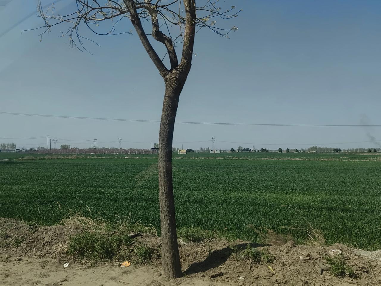 今天是我来北京的第6天。
不想来北京也不行了，孩子快要上学前班了，得有人看孩子做