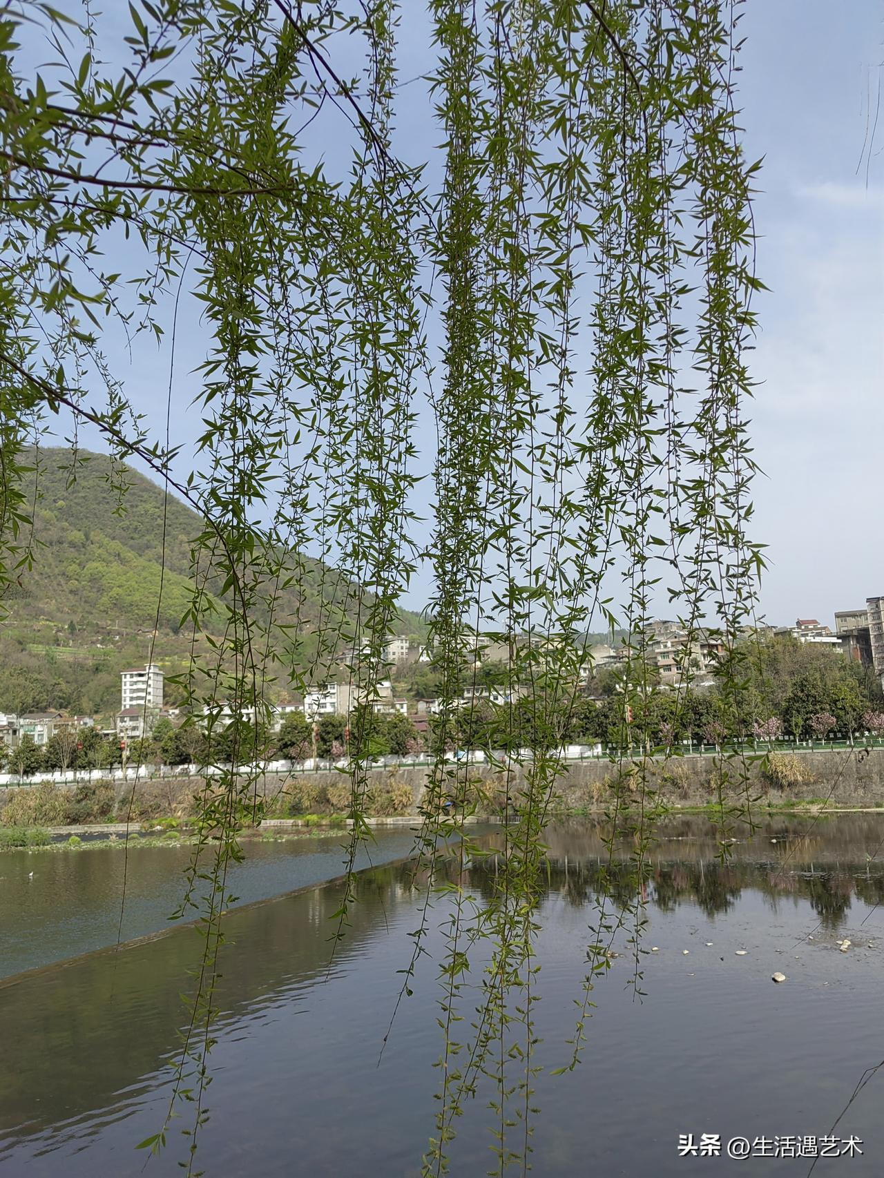 记录我的2026柳色新