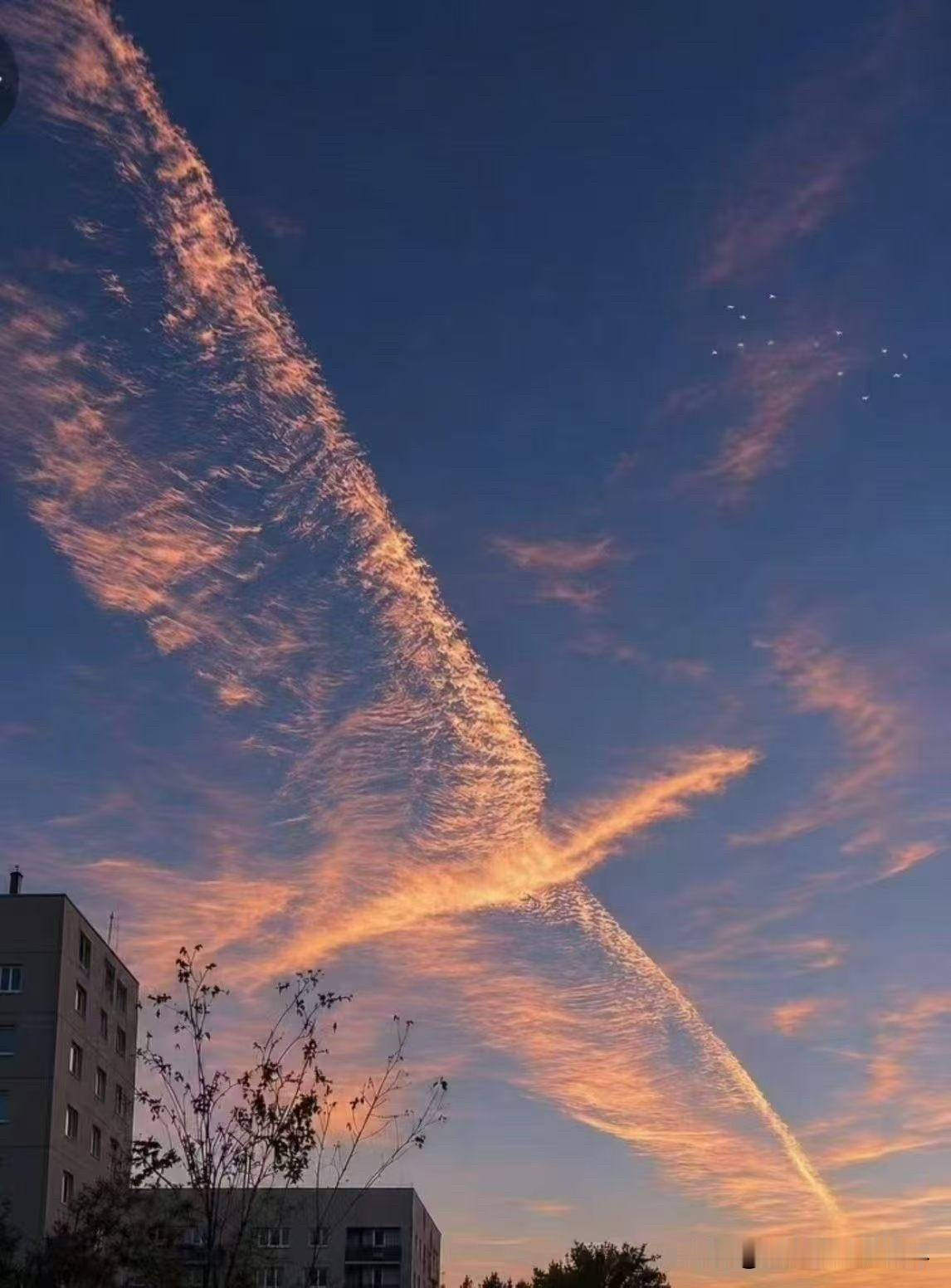 今日的鹰城