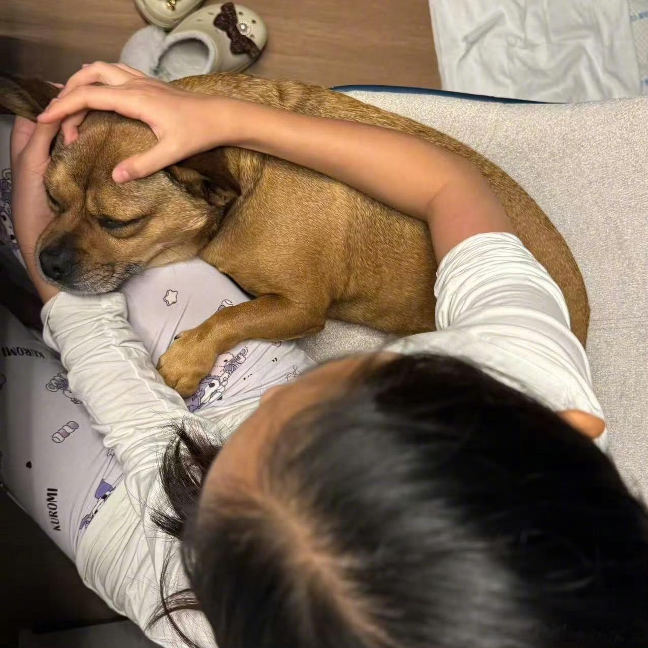 起猛了看见了两个邓超 哈哈哈哈哈谁能够拒绝随性洒脱的土豆，完美复刻邓超随心所欲的