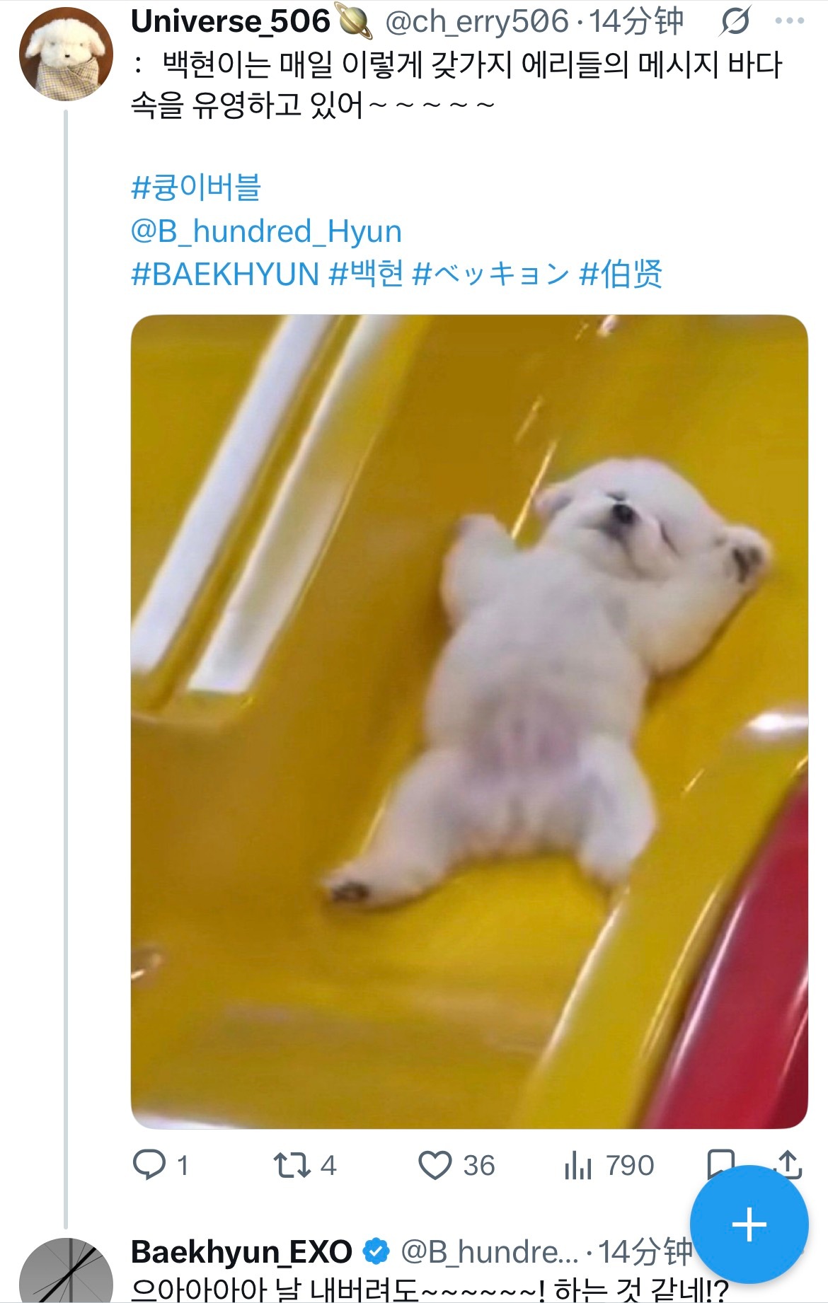 边伯贤 小狗儿🐶❤️：伯贤每天都这样 在各种各样的爱丽们的消息海洋里遨游~~~