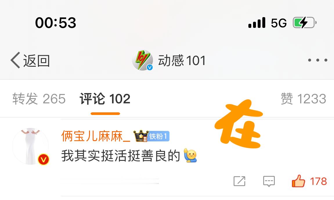 我其实挺活挺善良的这样的好像适合我，试了正常文案、正能量文案都吞了，只有这个留下
