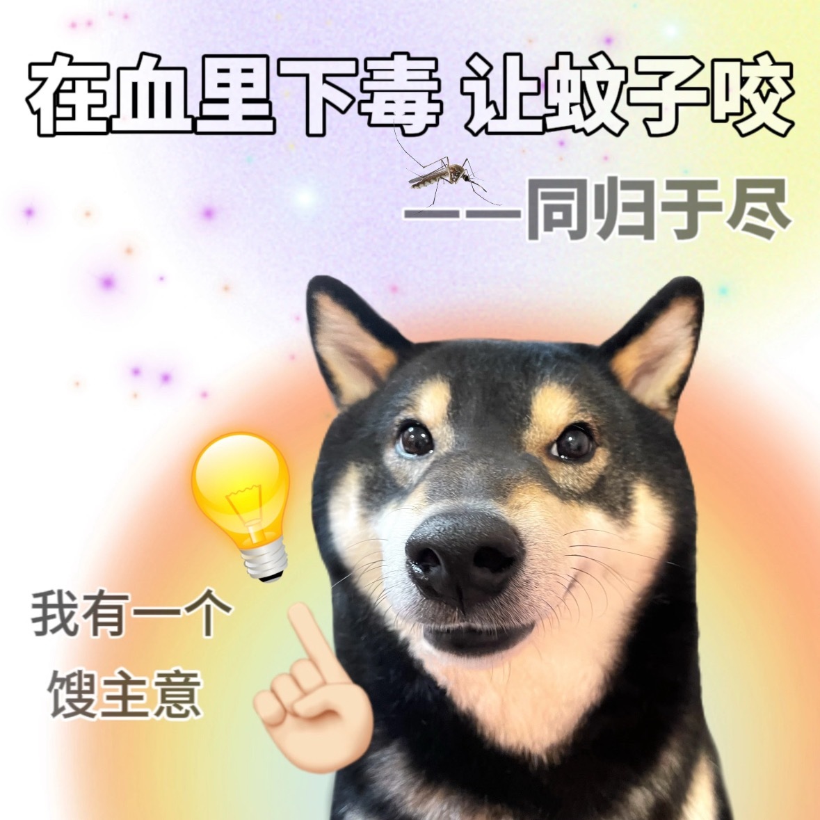 今年蚊子可能迎来史诗级加强我这两天已经看到蚊子在飞了…出去溜达好像还看到蚊子聚成