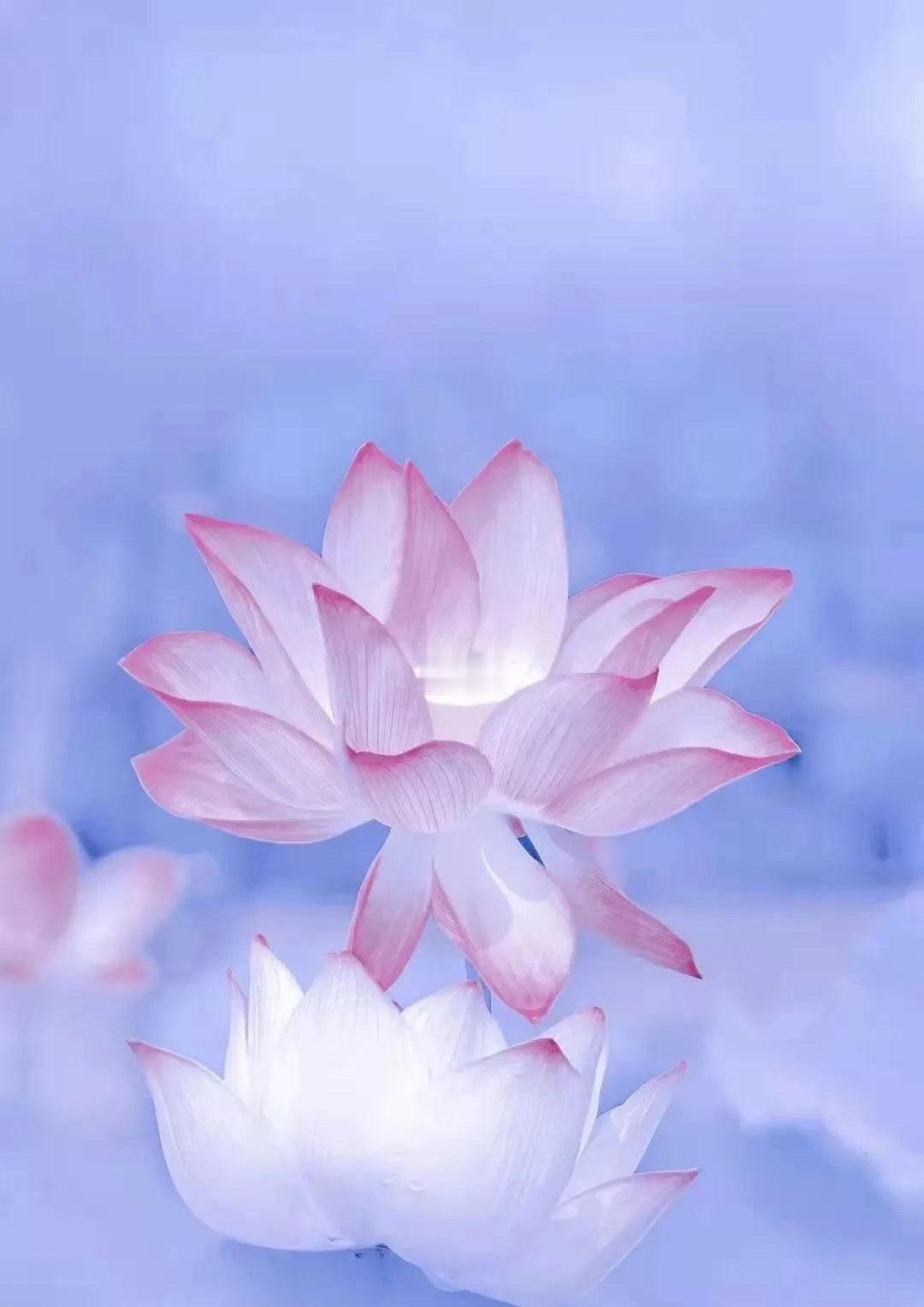 别人的评价不必放在心上，外界的是非不必卷入其中。人生短短数十载，赢过别人，不如安