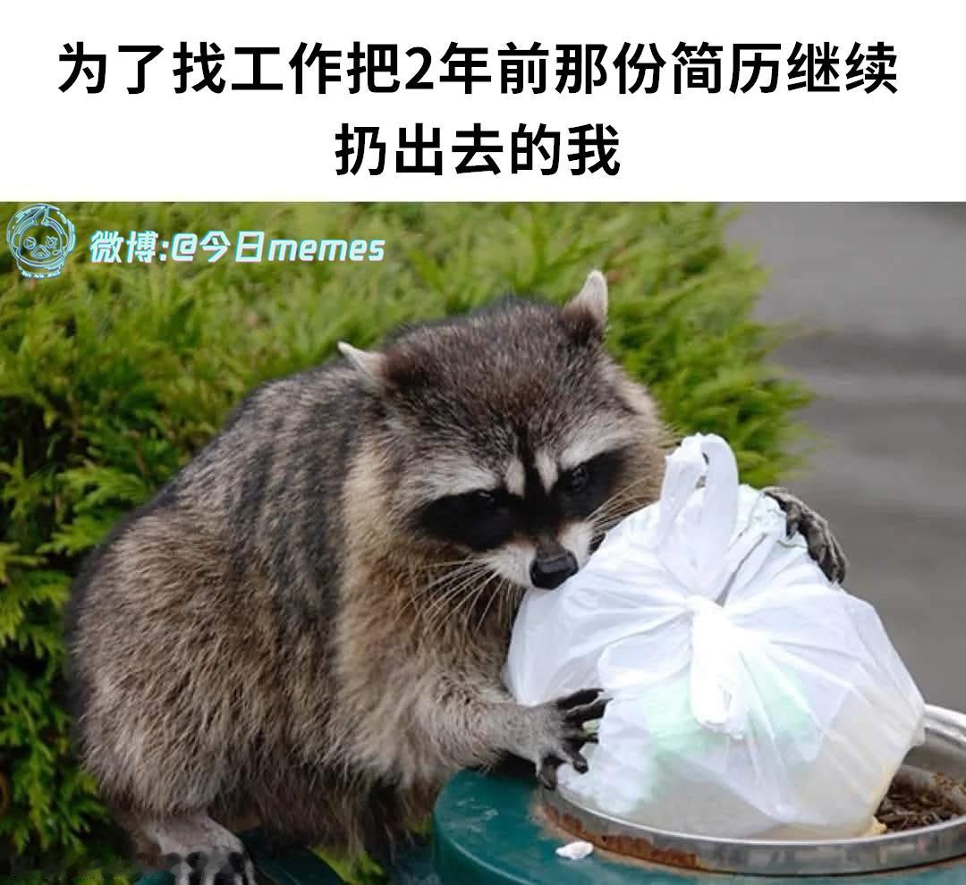 加油（9gag）今日meme[超话] 今日memes ​​​