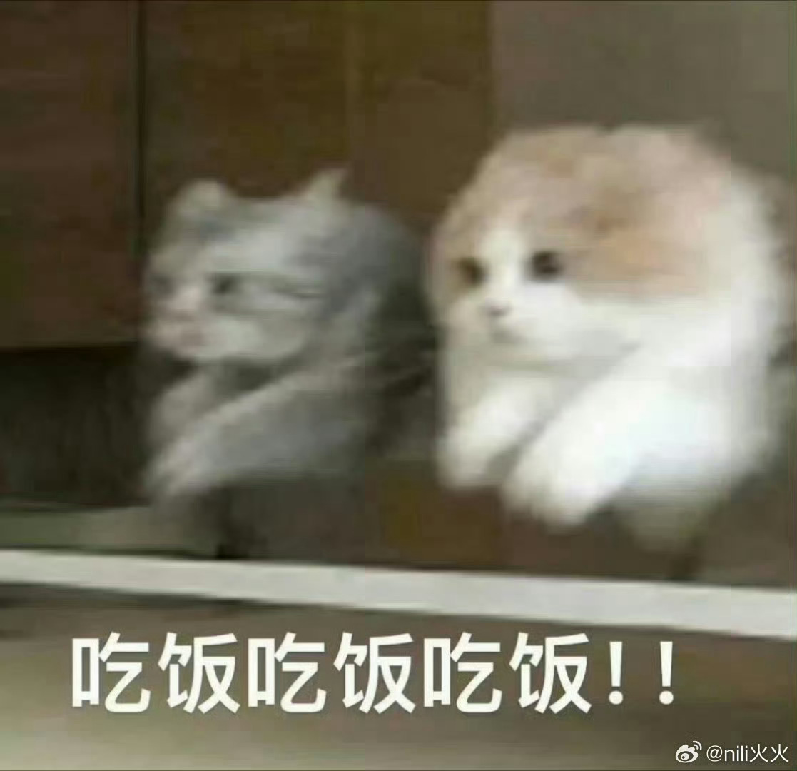 饭点到！你今天晚餐准备吃啥？[干饭人] ​​​