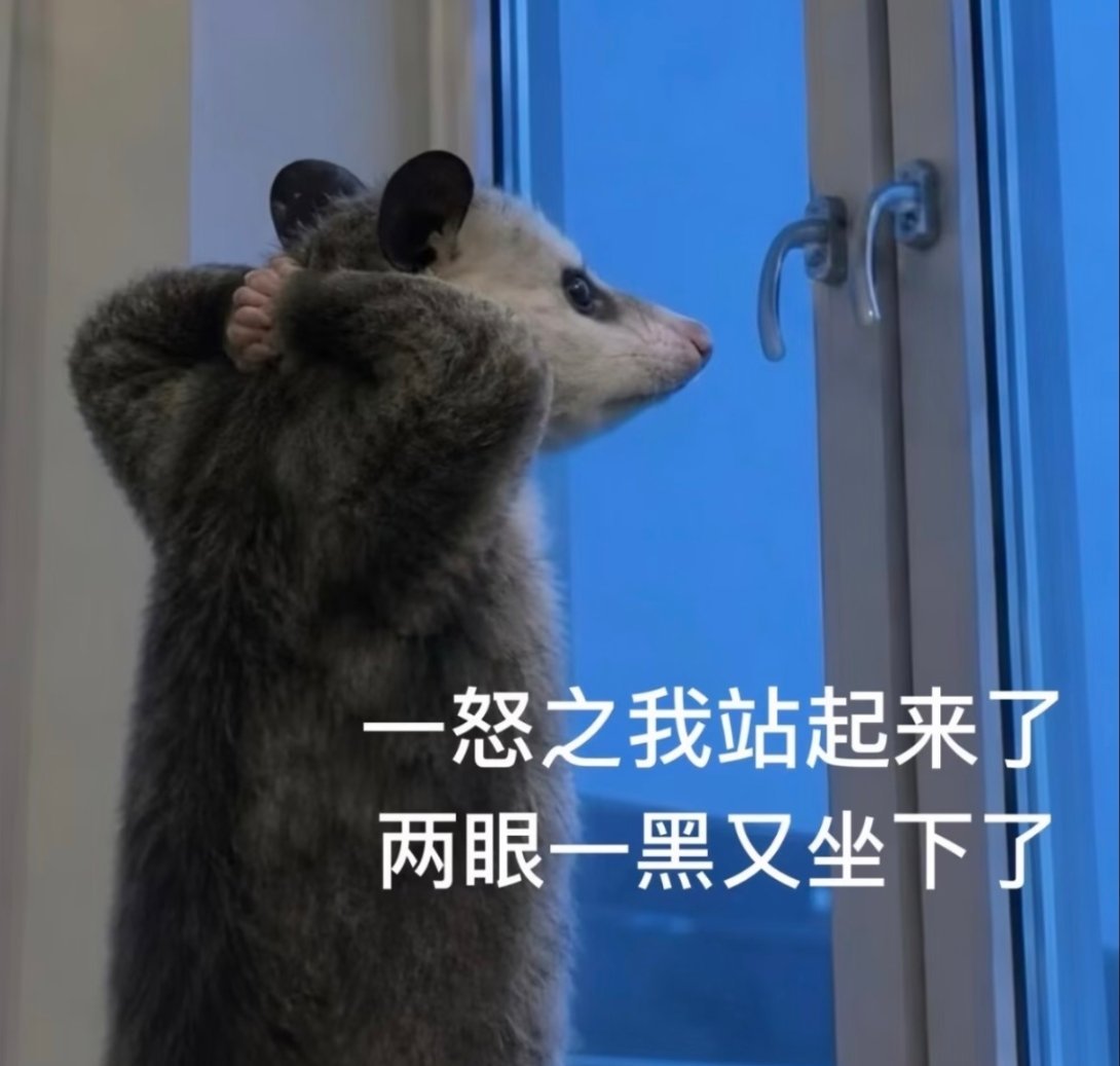 千香已品鉴 姜黎非日常be like 