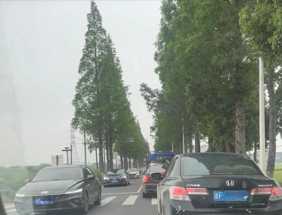 余新、凤桥、海盐往返嘉兴市区的牛马们崩溃了。

因为嘉兴南站Ⅱ型枢纽建设及南北湖