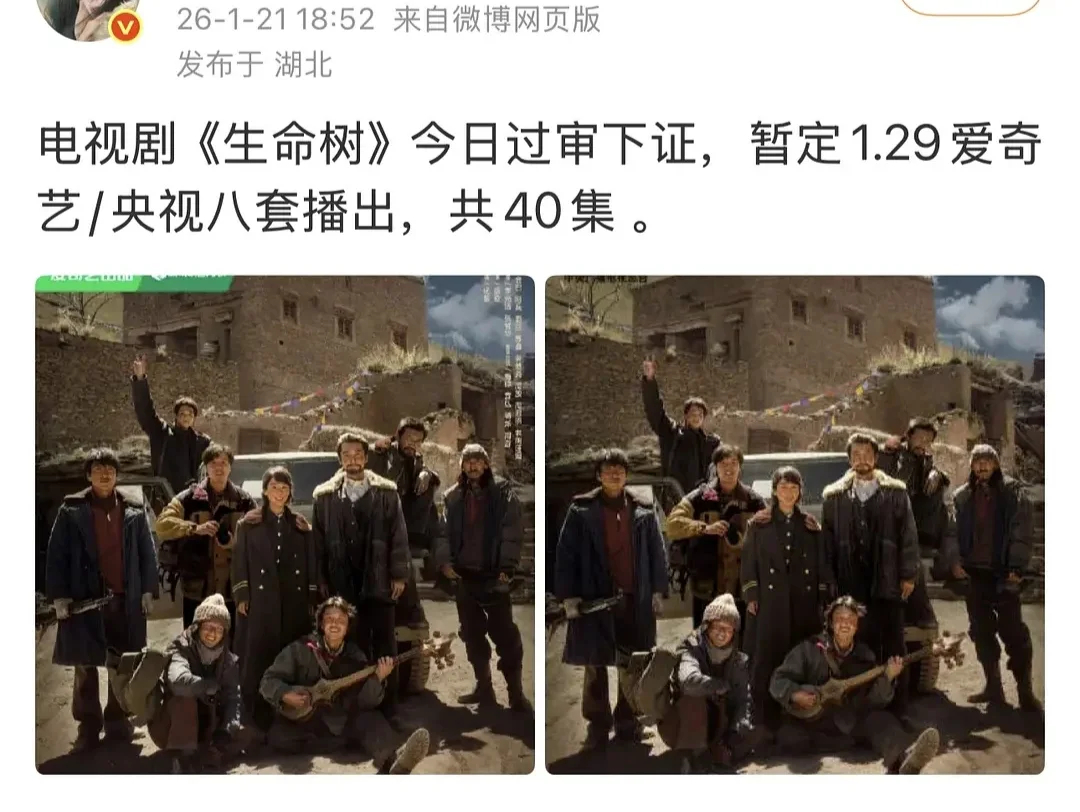 杨紫生命树过审下证，期待早日见面～ 