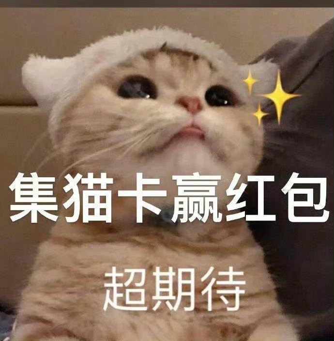 #原来抓了一只招财猫# 奥运会比赛还没开始应该干嘛，赶紧来集猫猫卡呀！今天我又凑