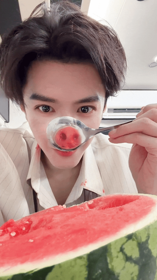 啊啊啊 好可爱小🐷（都去抖看陈哲远哈哈哈哈） 