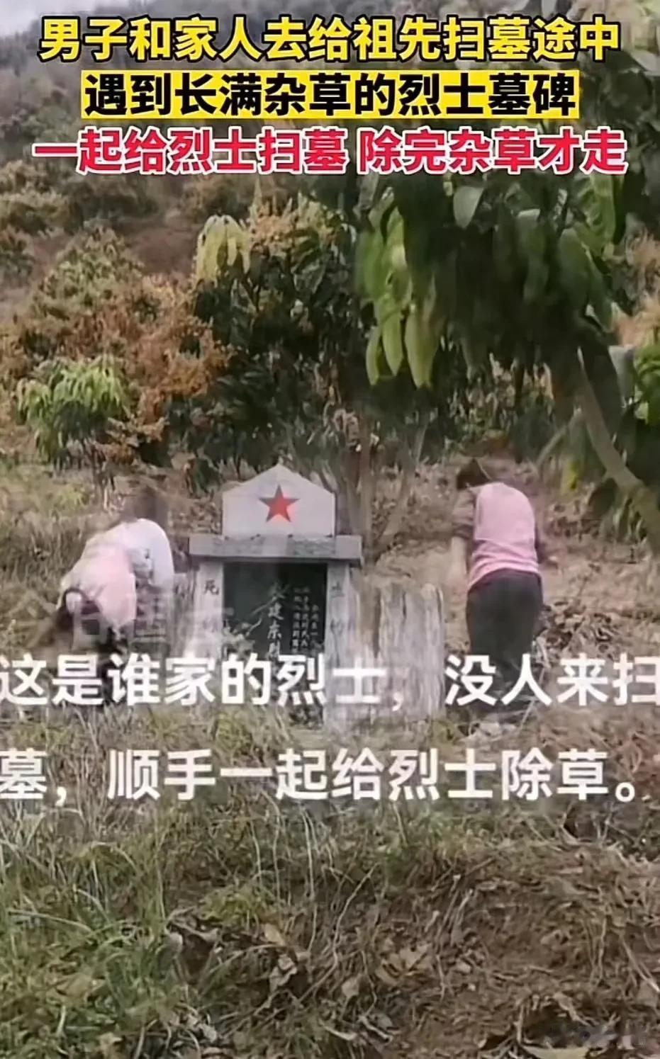 广西，男子与家人去给祖先扫墓，途中见到一座烈士墓肃然起敬！但是这烈士墓的坟头长满