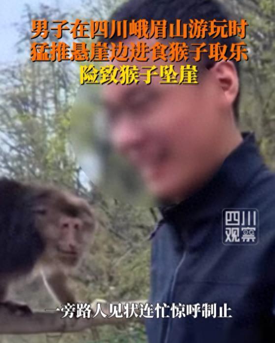 5 月 6 日四川乐山峨眉山景区惊现恶劣一幕！黑衣男子恶意推搡悬崖边进食橘子的藏