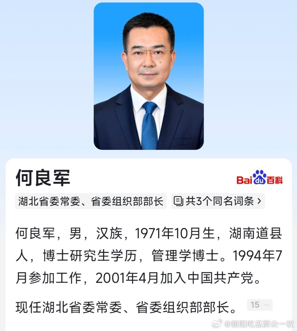 何良军任湖北省委常委、省委组织部部长。 ​​​