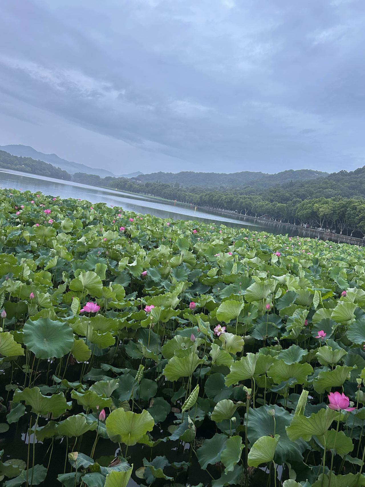 支持适度暑假工，既能锻炼独立能力、体会生活不易，也要把控时间，不耽误学习与休息，