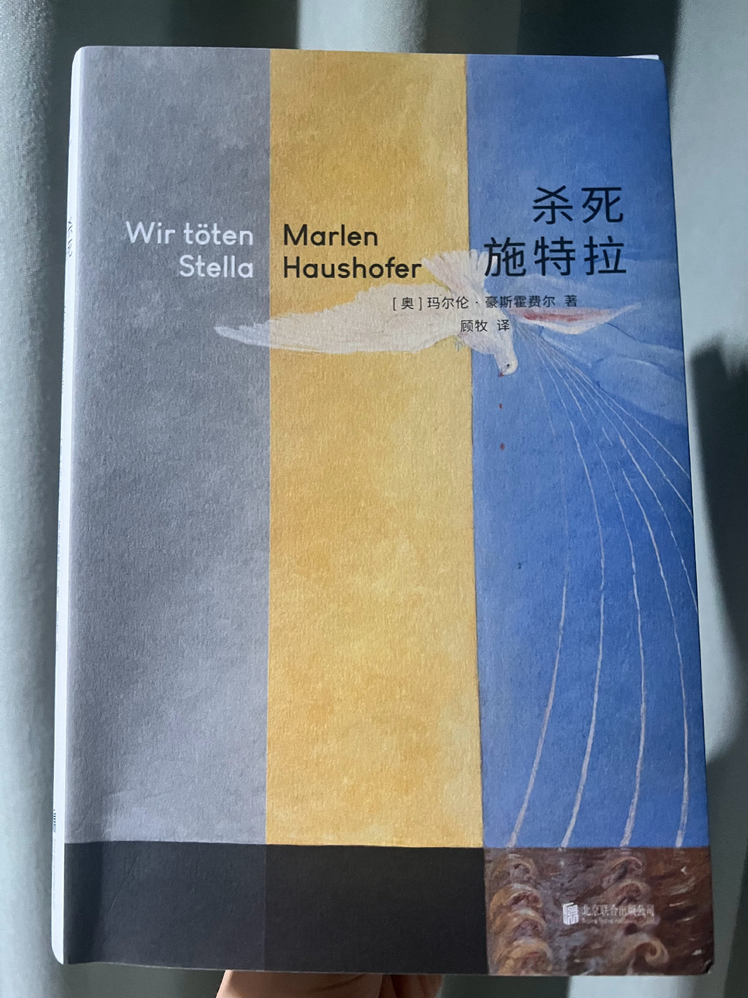 与书相遇《杀死施特拉》是我读的第三本玛尔伦.霍斯豪费尔的书，《隐墙》《阁楼》我就