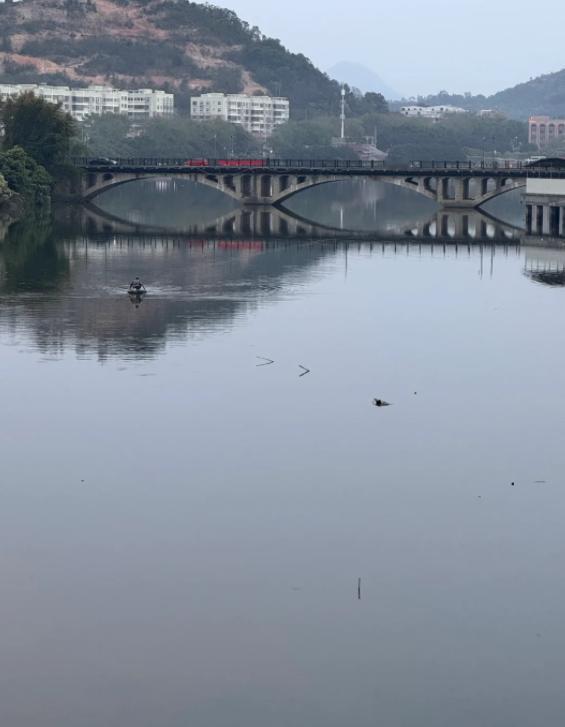 年轻人弃医从兽？背后真相太扎心
亲爱的朋友们大家好，我是海林小百科，今天我们来看