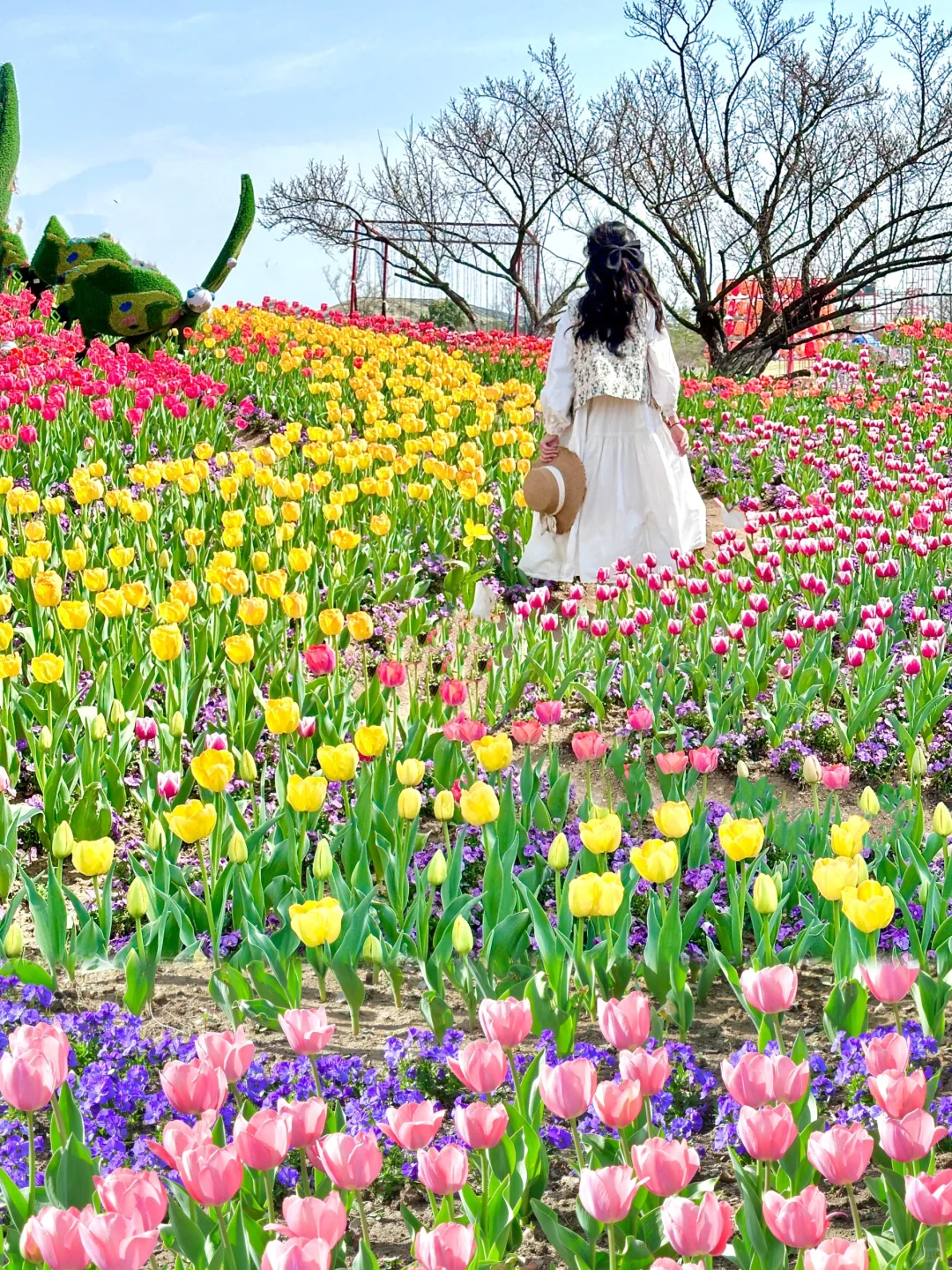 合肥春日🌸被问爆赏花citywalk路线‼️附花期