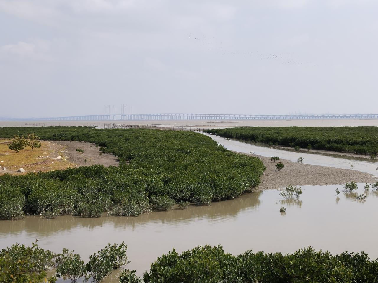 《我的解放日志》美贞辞，因为她敢于放弃社会定义的“成功”，回归自我节奏与士地联结