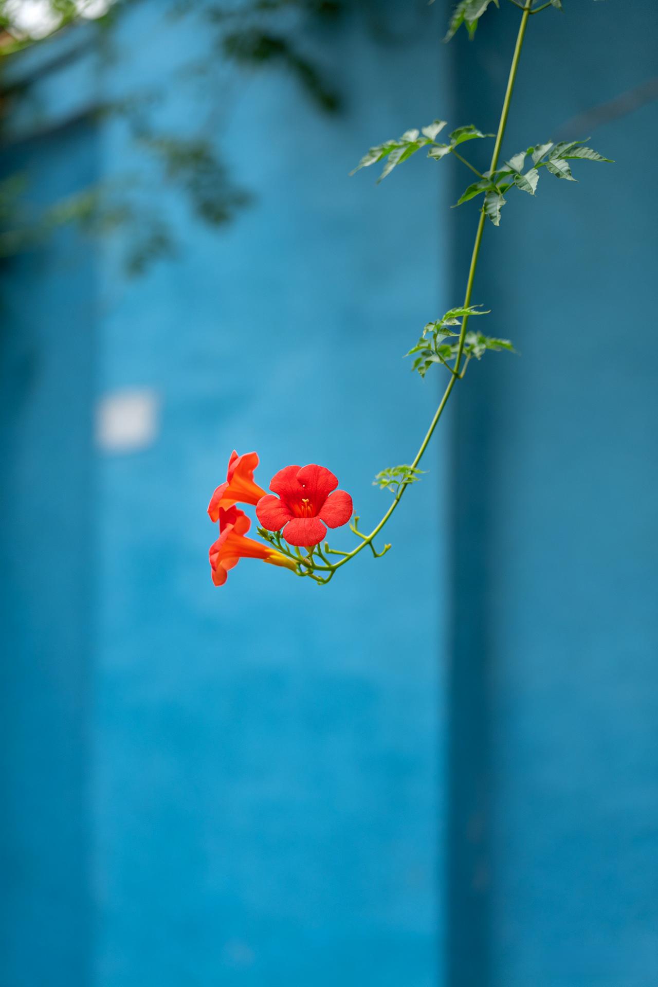 醍醐灌顶的话：
“如果你发现一个人极其潇洒，而且还不合群，那么这个人十有八九是个