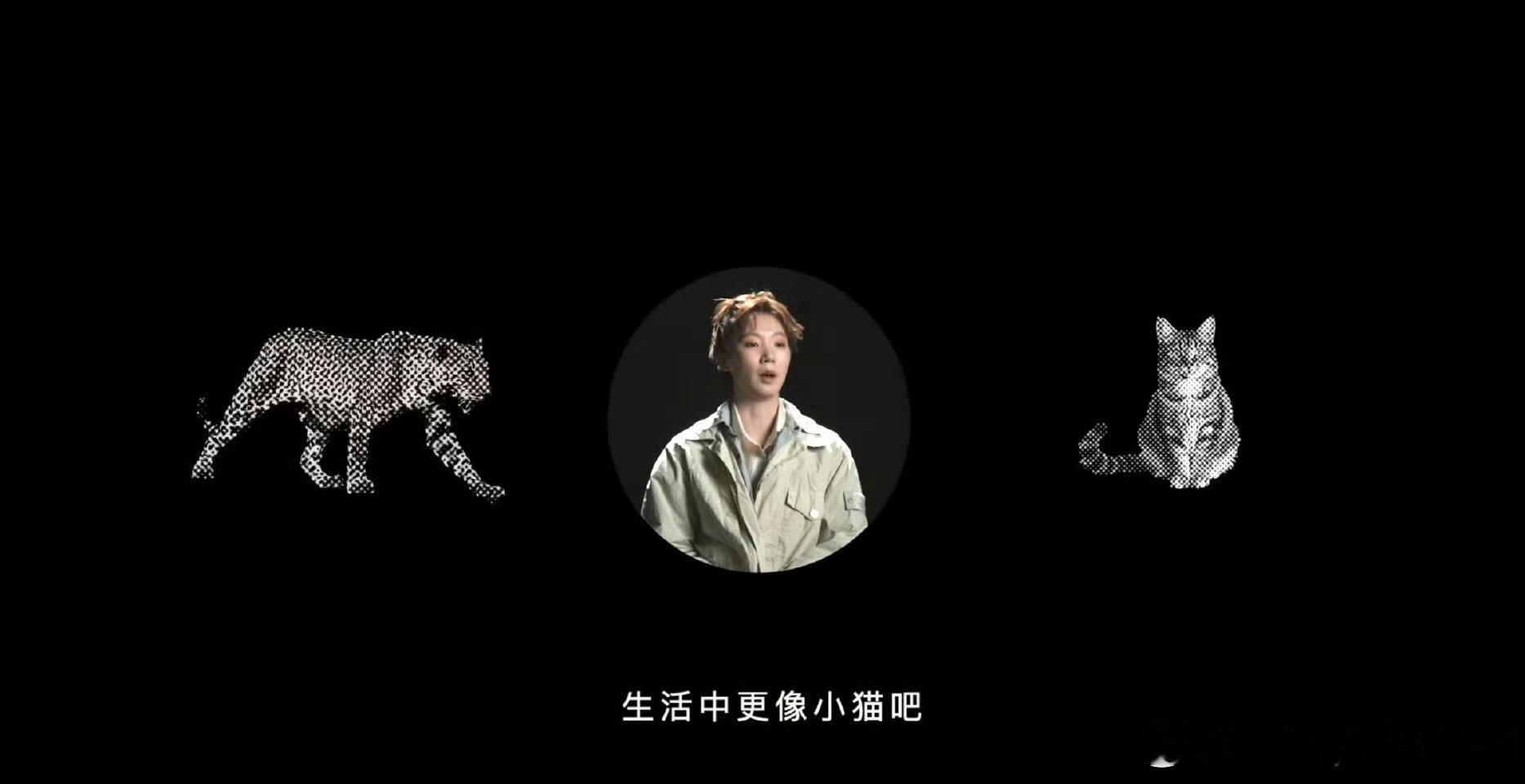王曼昱是赛场上的小豹子，生活中的小猫王曼昱的快问快答 ​​​