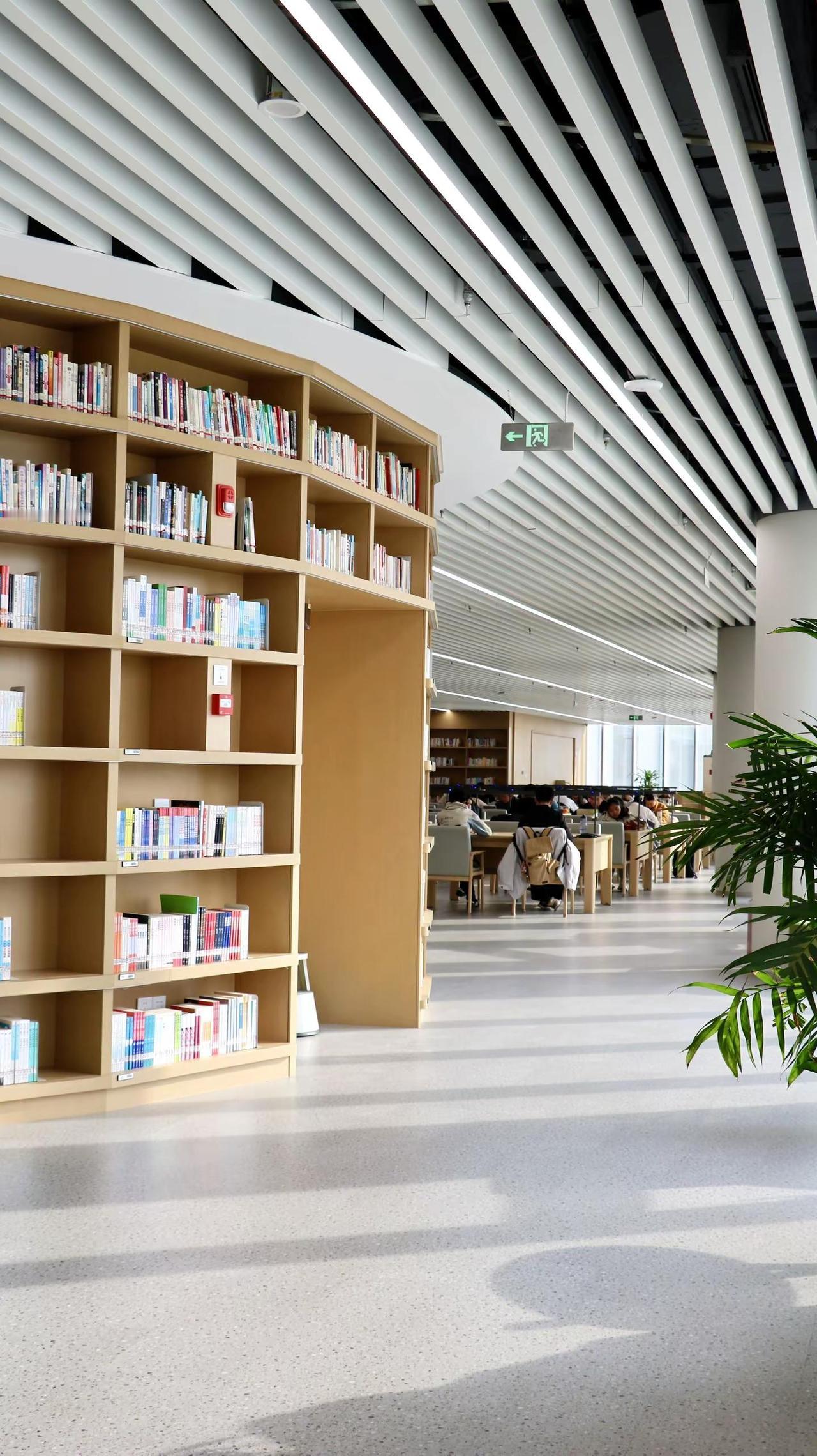 当阳光落在书页上你有多久没让时间慢下来？走进这里，浅木色书架弯成温柔的弧度，书脊