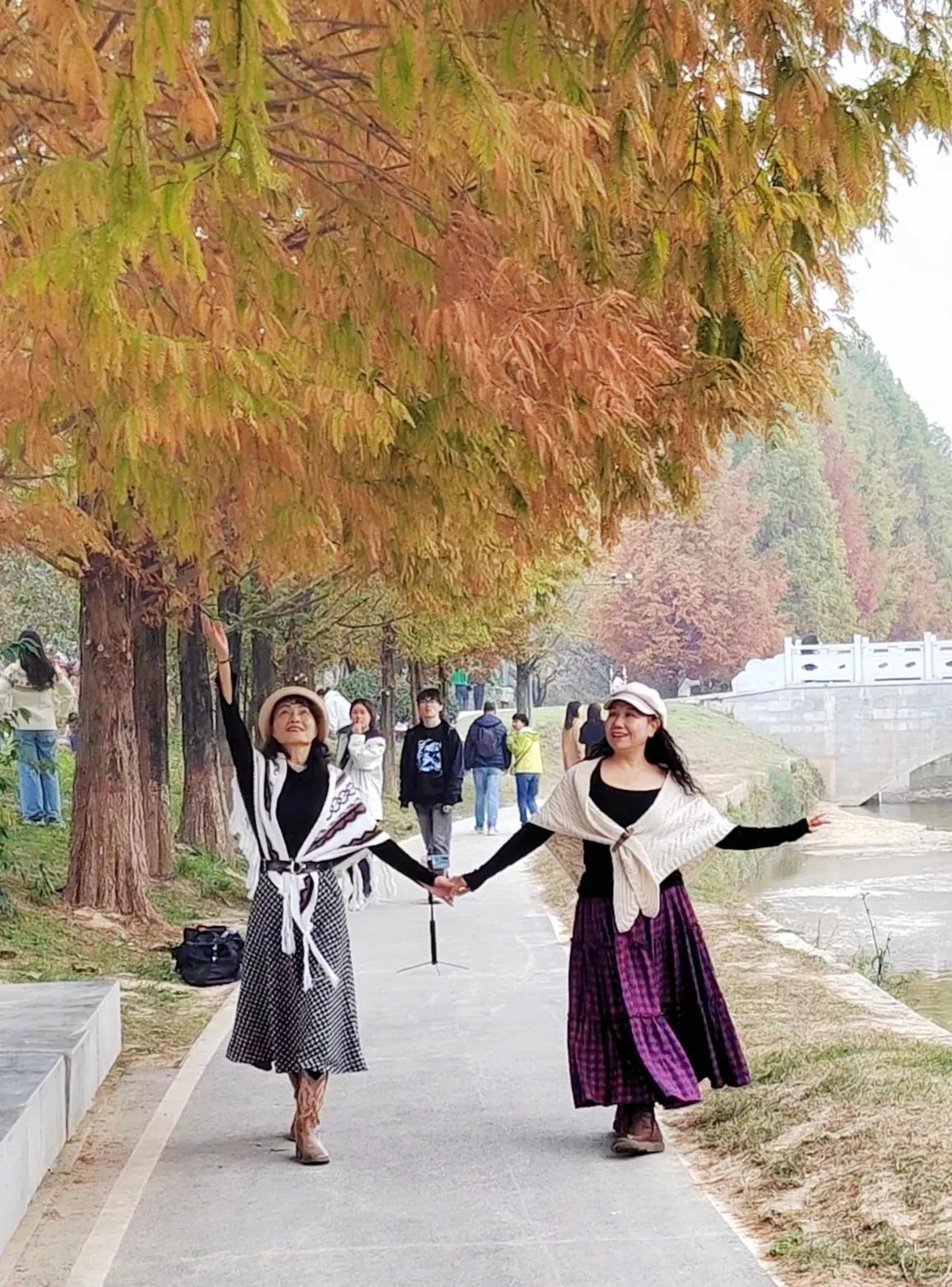 #秋景共享# 晚秋 最浪漫的季节，金黄的潏河樊川进入了秋影梦幻的时刻！#晚秋景美