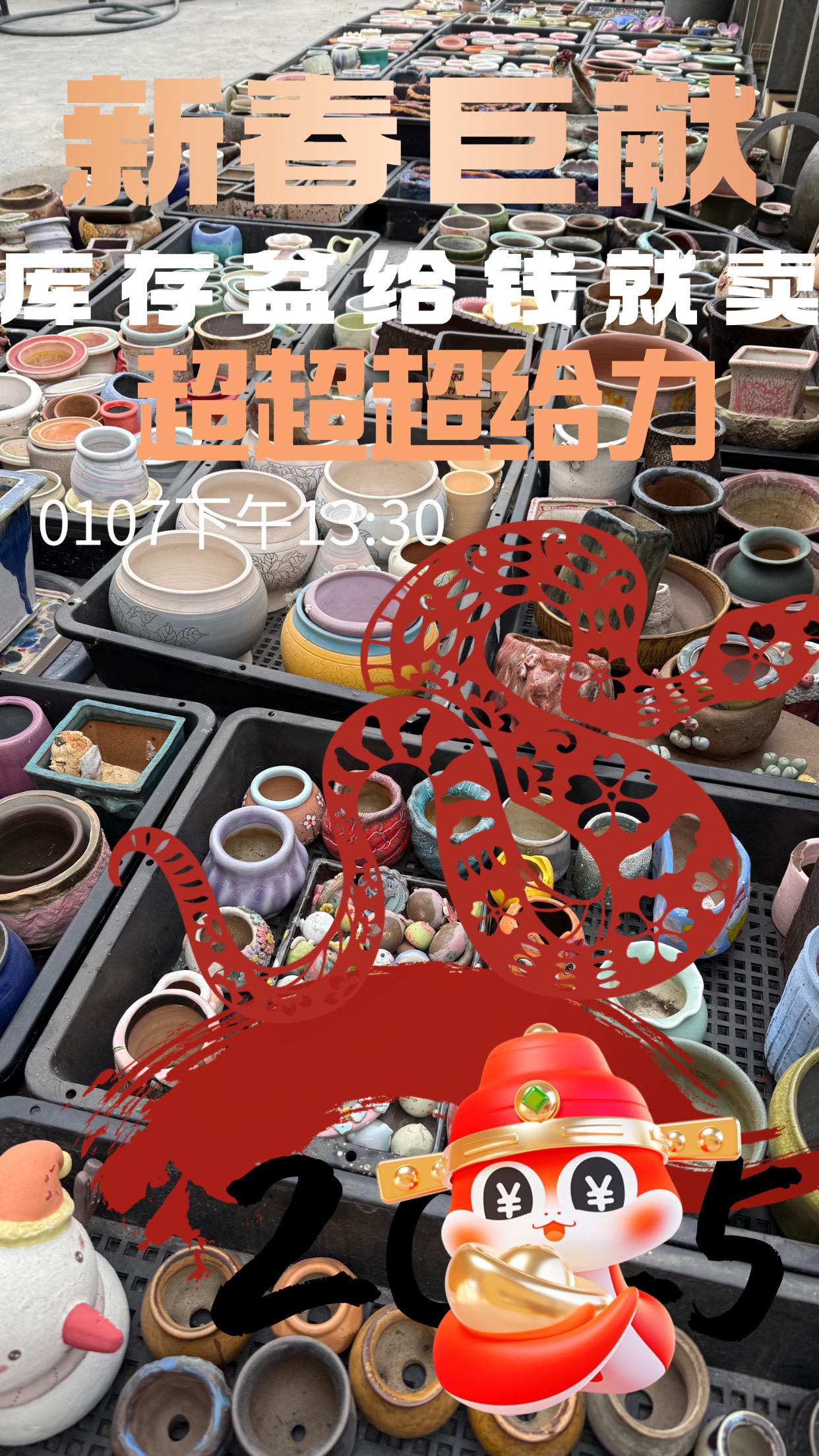 你说了算！