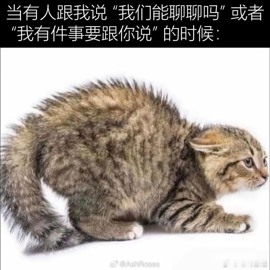 萧逸怕老婆啊……你站在萧逸床头，特别严肃地跟他说：“睡醒了吗？我有点事要和你说，