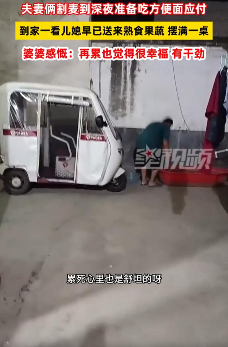 “累死心里也是舒坦的！”河南，一对夫妻割麦到半夜，回家路上饥肠辘辘，想着吃点方便