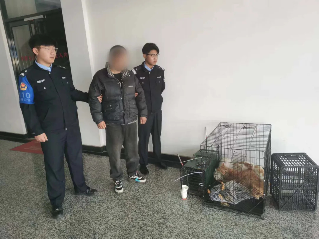 【#男子一周盗窃14只猫# 已落网！】#男子一周盗窃14只猫被刑拘#近日，郯城县