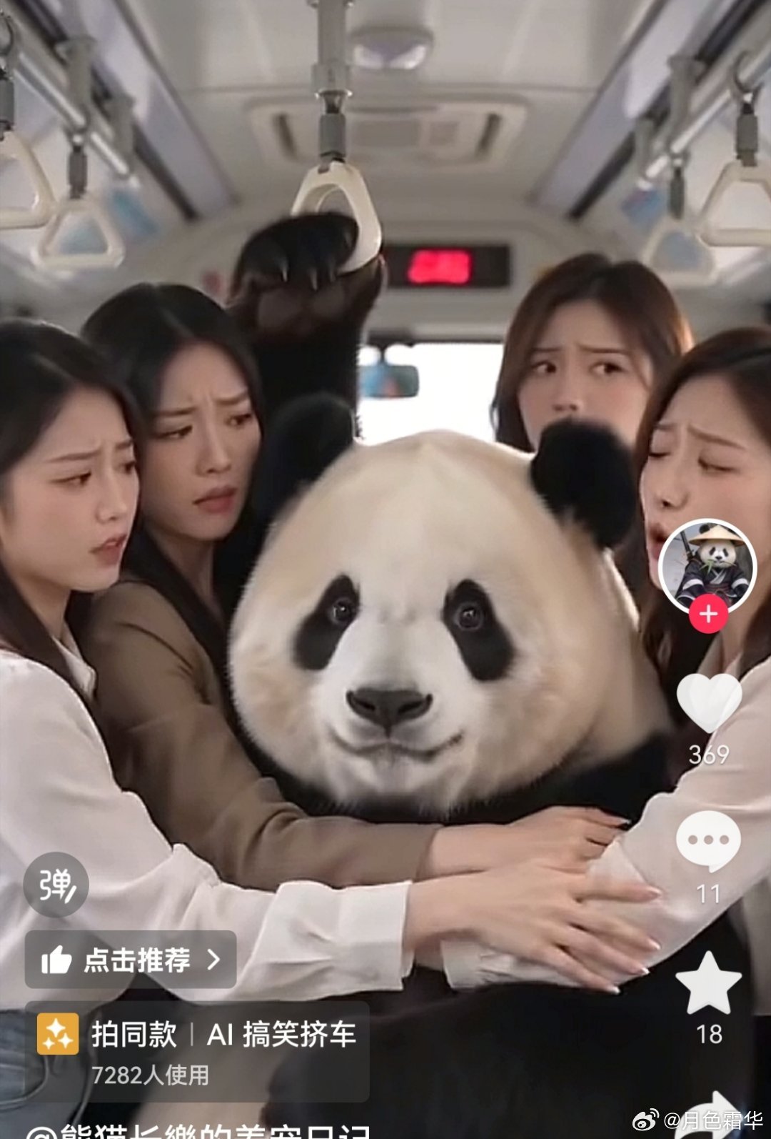 四个美女车上抢是英俊帅气的大熊猫，这种剧情，我觉得大家都能接受，因为又帅又可爱。