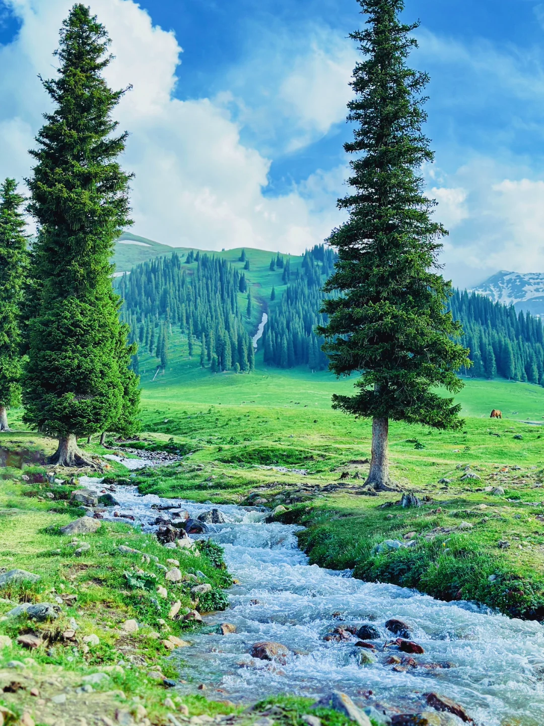 新疆亲子游Day6⃣️｜有一种美叫那拉提的夏天~